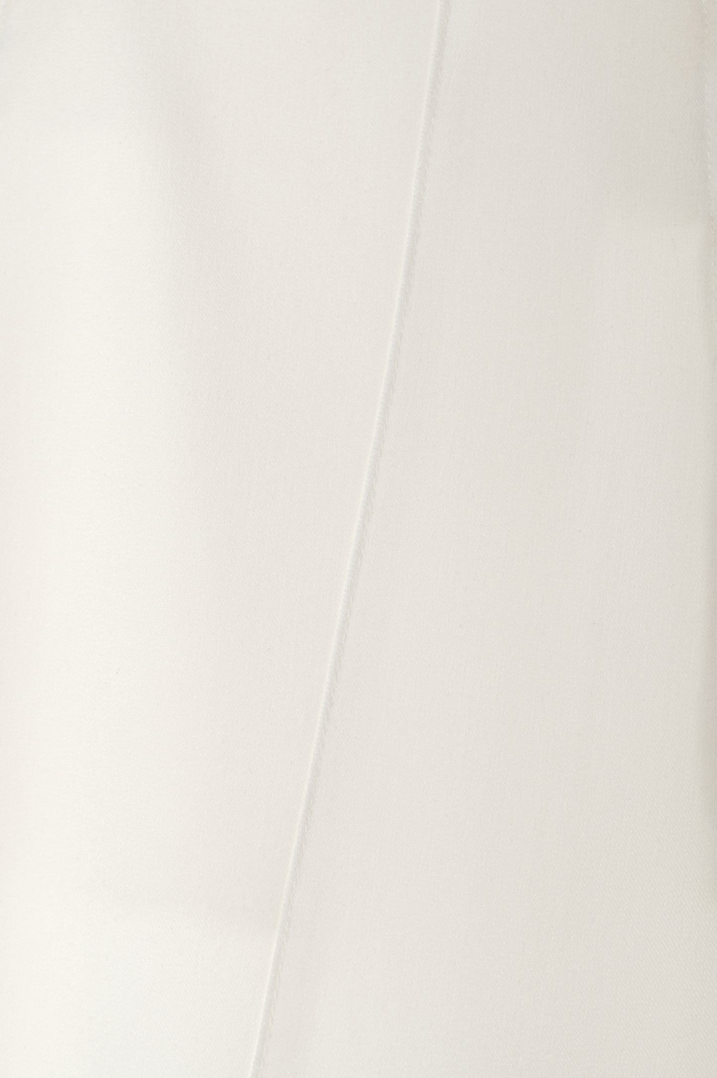 The White Tailored Pants - product view 5